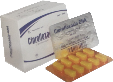 CIPROFLOXACIN DNA