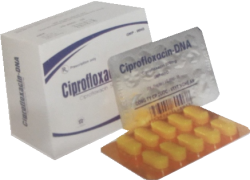 CIPROFLOXACIN DNA