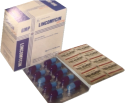 Lincomycin 500mg